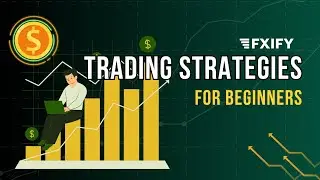 FXIFY Trading Strategies for Beginners | FXIFY Coupon Code | Coupon Terra