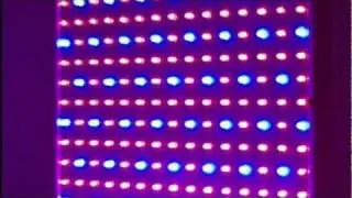 225 red and blue LED hydroponic plant grow light panel 14w (RBLED)