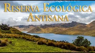 Una vista r&aacute;pida de la Reserva Ecol&oacute;gica Antisana