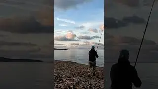 Catching a scad at Chesil beach