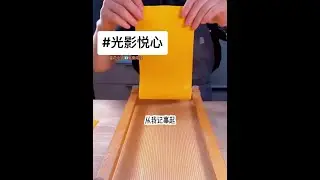 光影悦心#蛋花小说免费阅读