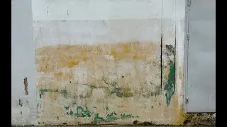 How to repair wall cancer in concrete and cement with waterproofing function.