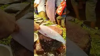 Fast Fish Cutting Skills | Amazing Mrigal Fish Cutting Skills | Mr Fish Part-7 #shorts