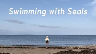 Swimming with seals, camping with owls | September in Nova Scotia