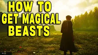 HOW TO TAME MAGICAL BEASTS! HOGWARTS LEGACY