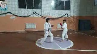 Sparing karate