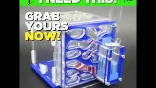 Ant Farms for Sale