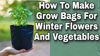 How to Make Grow Bags For Winter  Flowers And Vegetables | How To Grow Winter Flowers And Vegetables