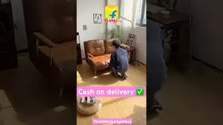 Mini sofa cum bed for home | flipkart deals | shorts #flipkart #flipkartsale #shorts #shortvideo