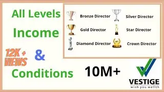 Vestige All Pin Levels, Income and Conditions || Vestige Levels