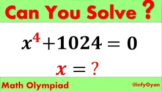 Crack This Quartic Equation x^4 + 1024 = 0 : Math Olympiad Trick Unveiled!