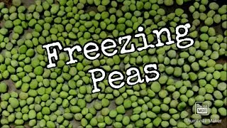 Freezing Peas