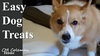 Easy Dog Treats Recipe