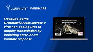 LWNVIVAT webinars: Mosquito borne Orthoflaviviruses secrete a viral non coding RNA by Julien Pompon