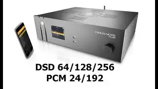 Стример Gold Note DS-1000