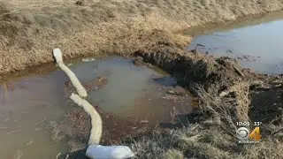 EPA Now Studying Impact Of 11,500 Diesel Spill After Tanker Crash On I-25