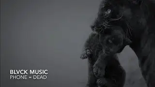 EDWARD V- PHONE = DEAD [chipmunk version]