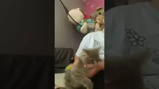 Mad baby