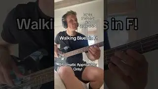 Walking Blues! CHROMATICS ONLY! #bassplayer #bassguitar #bassist #blues #bassplayersunited