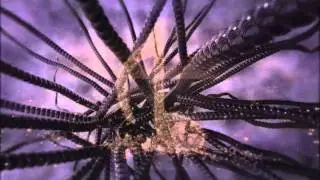 DJ-PILOT - Blue