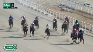(Busan) 2026.01.04 R2 Class 6 (1400M) Special Weight A