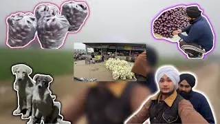 Vlog 1 #vlog #trendingvlogs #punjabivlogs 