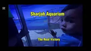 Sharjah Aquarium - Sharjah Tourist Spot#dubaitourism #sharjah #travel #dubai 