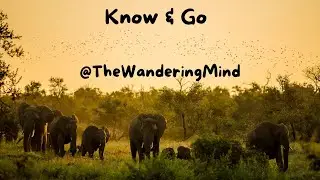 Know & Go: Why Elephants are the Architects of the Ecosystem?