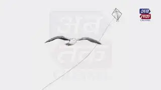 Makar Sankranti | Save Birds | Abtak Media