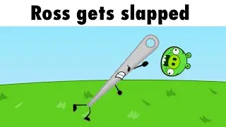 Ross gets slapped