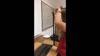 Set Up and Calibration using Cortex (Tutorial)
