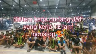 SISTEM KERJA GUDANG J&T EXPRESS FREELANCE
