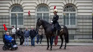 KINGS GUARD WARNS TOURIST 3 TIMES THEN LETS RIP CHARGING HORSE