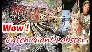 #02 Catching Seafood(Catch Crab, Catch Fish)