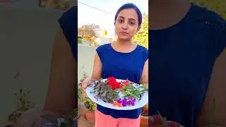 Happy gardening 🧑&zwj;🌾 #happyfamily #garden #home #familyvlog #flowers #serialartist
