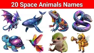 🚀🐾 20 Space Animals Names | English and Hindi | Kids Education Video 🌌
