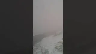 WHAT'S IT LIKE ON THE CAT AND FIDDLE TODAY...
