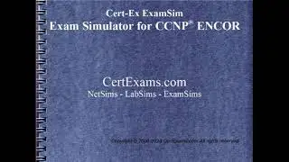 Cert-Ex CCNP ENCOR Practice Tests: Key features