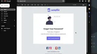 HTML Email Template - Password Reset Transaction Email