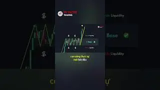 Đừng Trade Cung Cầu Nếu Bạn Chưa Biết 5 Quy Tắc 