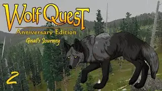 Gnat Makes Her Mark! | WolfQuest Ultra Ironwolf: Gnat's Journey #2