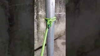 CLOVE HITCH & OVERHAND KNOT #shorts #shortvideo #shortsviral #viralshorts #viralvideo #fypシ゚viral