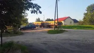 URSUS C385 i 2x D83 z pszenicą z pola