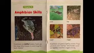 Awesome Amphibians