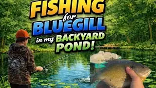 Fishing for bluegill in my back pond (caught a big one)