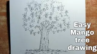 How to draw mango tree||Mango tree freehand pen sketch easy drawing