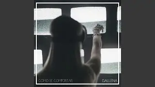 Como Se Comportar