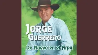 De Nuevo en el Arpa