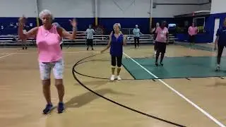 Active Fit: Fun Music-Powered Fitness Classes for Seniors 55+ | Synergy Senior Fitness