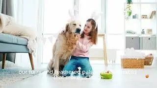 10 Crazy Facts About Pet Behavior